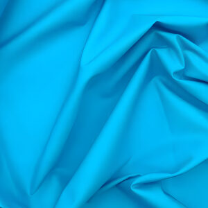 Blue Kingfisher Plain