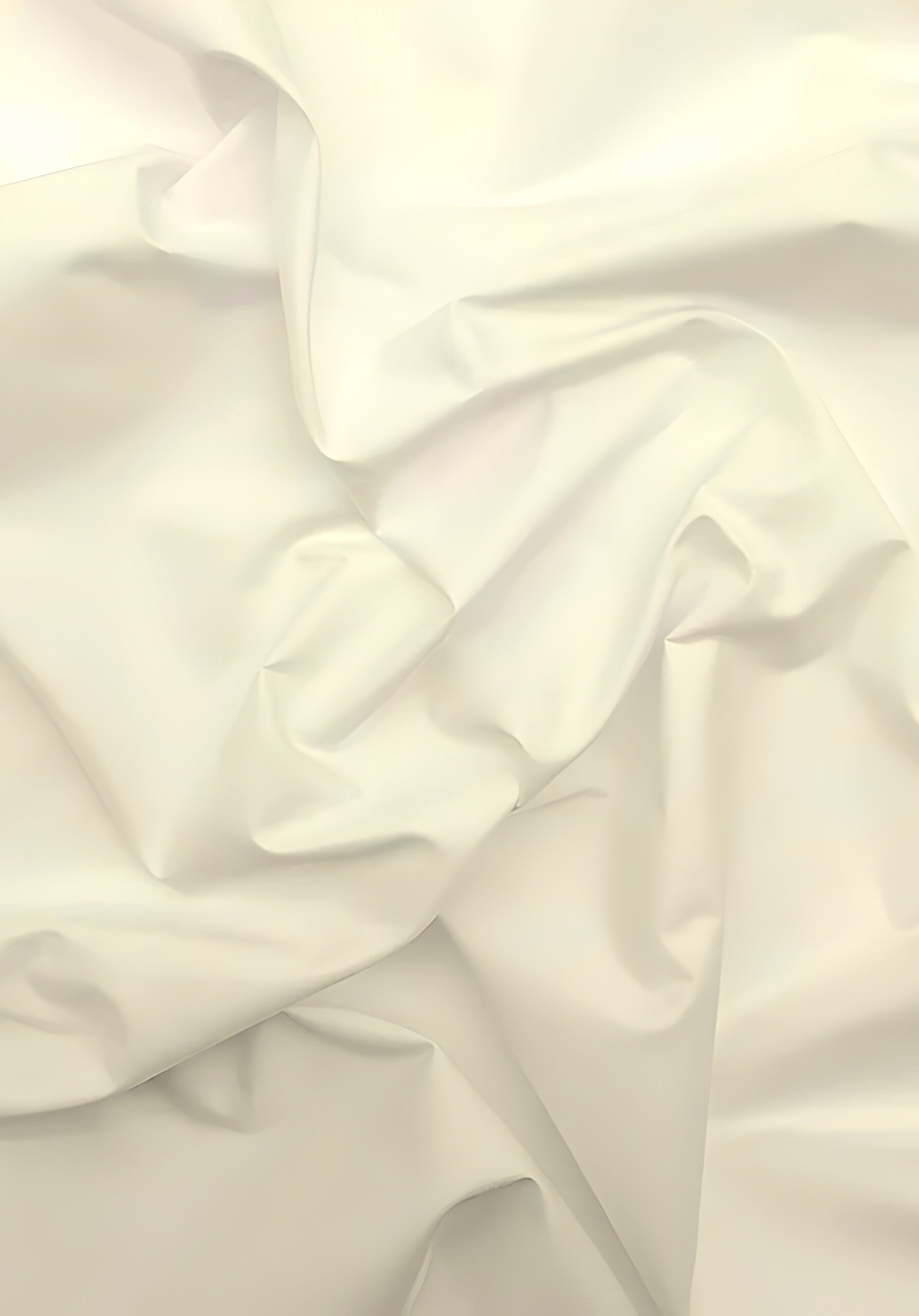 Plain Ivory
