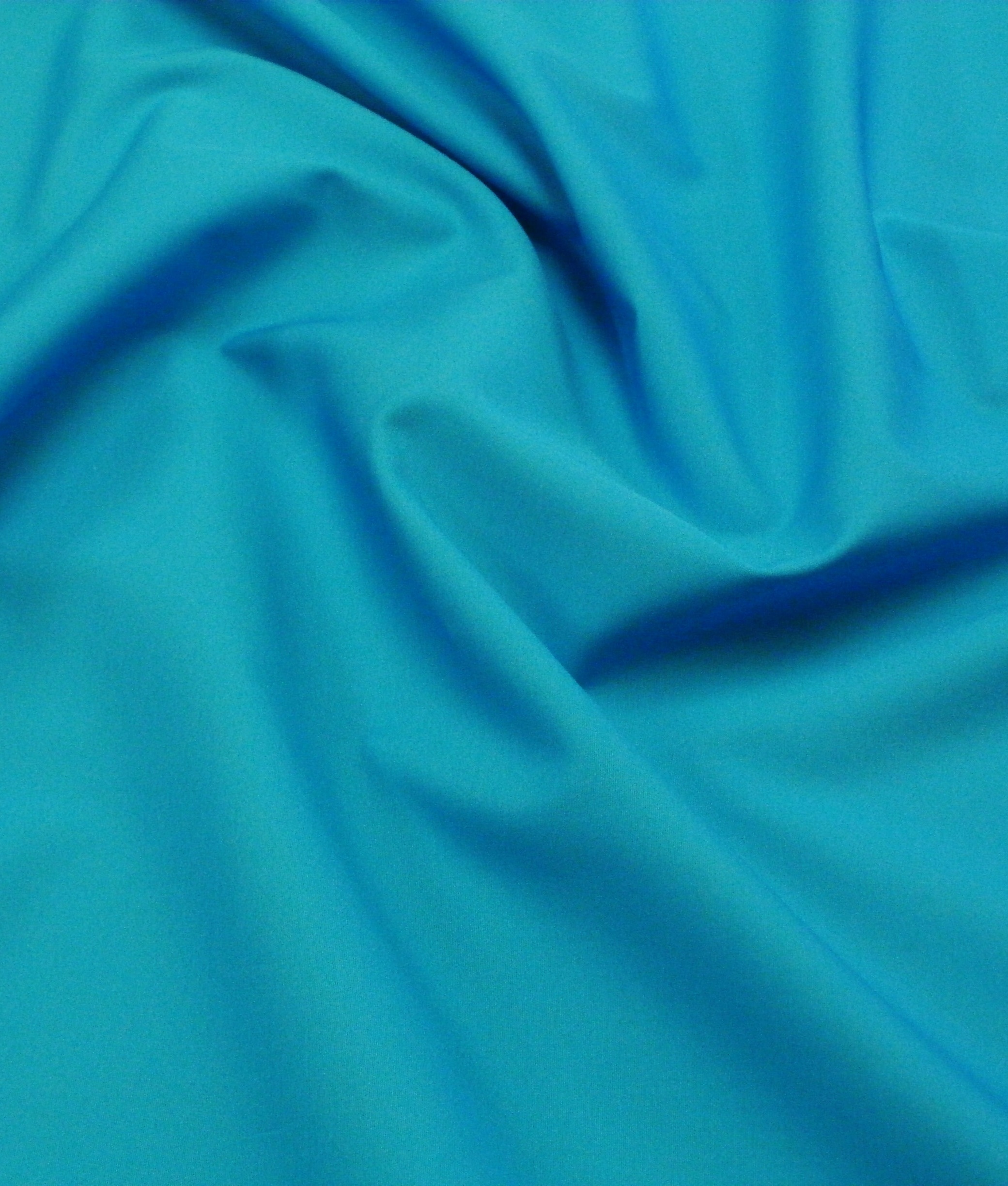 Blue Kingfisher Plain – Habbyhub