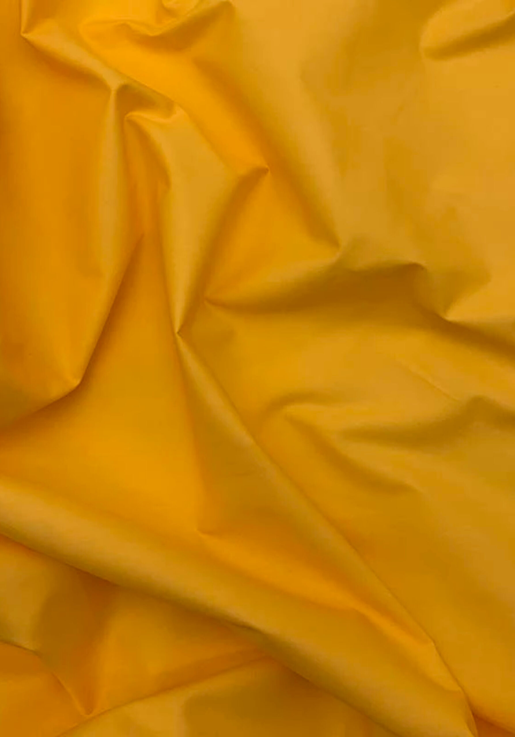 Plain Yellow Golden