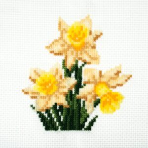 Daffodils