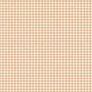 Little Ones - Gingham Blush