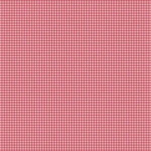 Petite Fleur - Gingham Raspberry