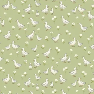 Little Ones - Ducks Green