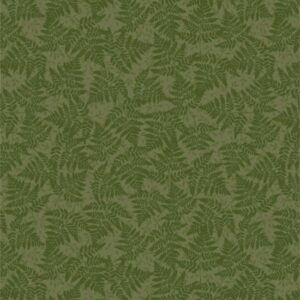 Woodland Walks Ferns