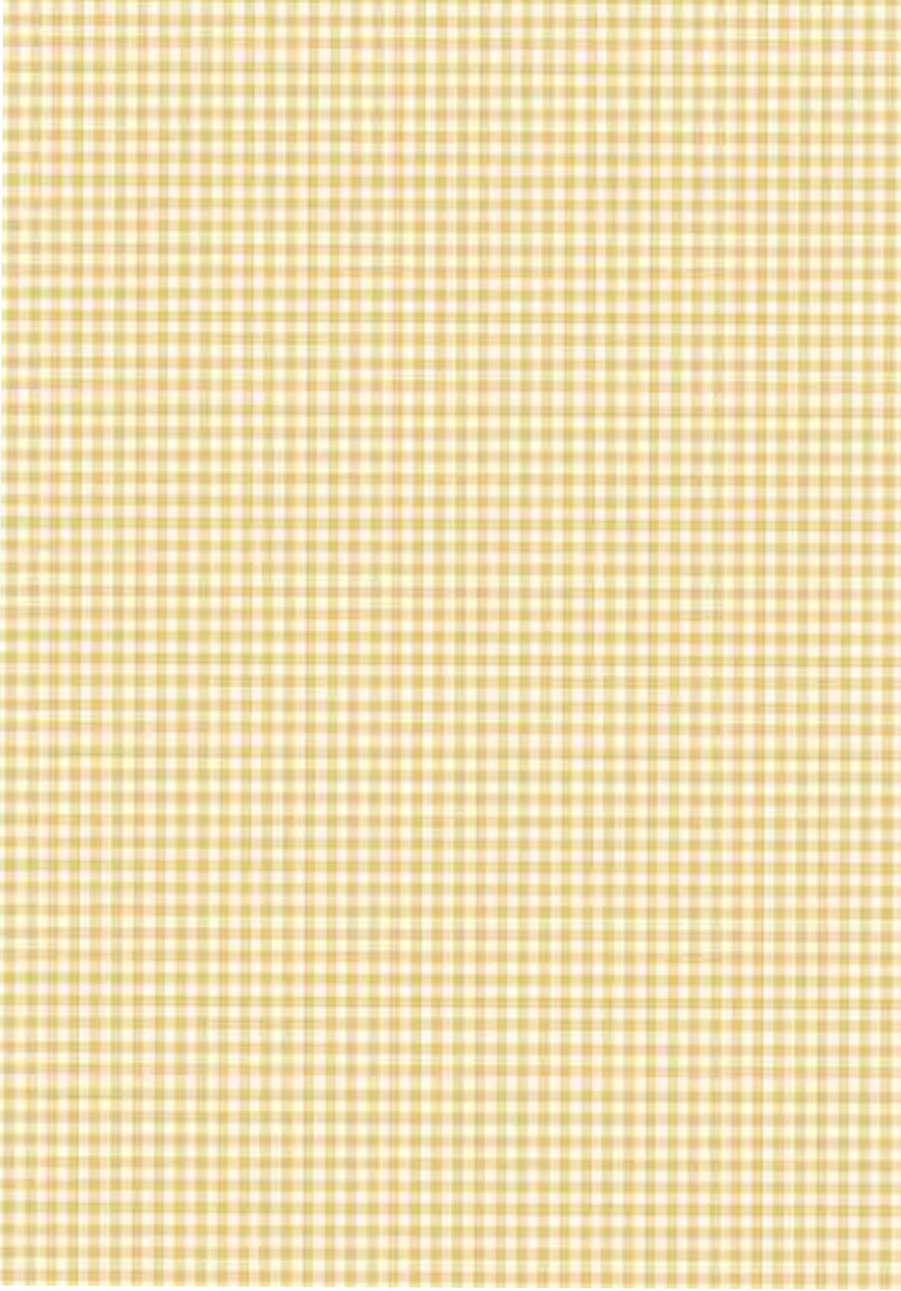 Little Ones - Gingham Buttermilk