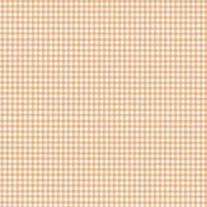 Little Ones - Gingham Blush