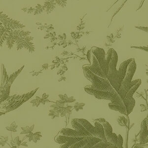 Vermont - Olive