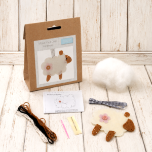 Beginners Craft kits